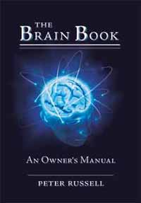 the brain book cover